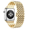 Acer Stainless Steel Strap
