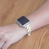 Niteo Stainless Steel Strap