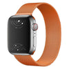 Capita Milanese Stainless Steel Strap