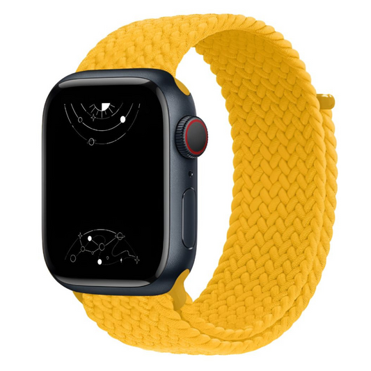 Caterva Elastic Braided Solo Loop Strap