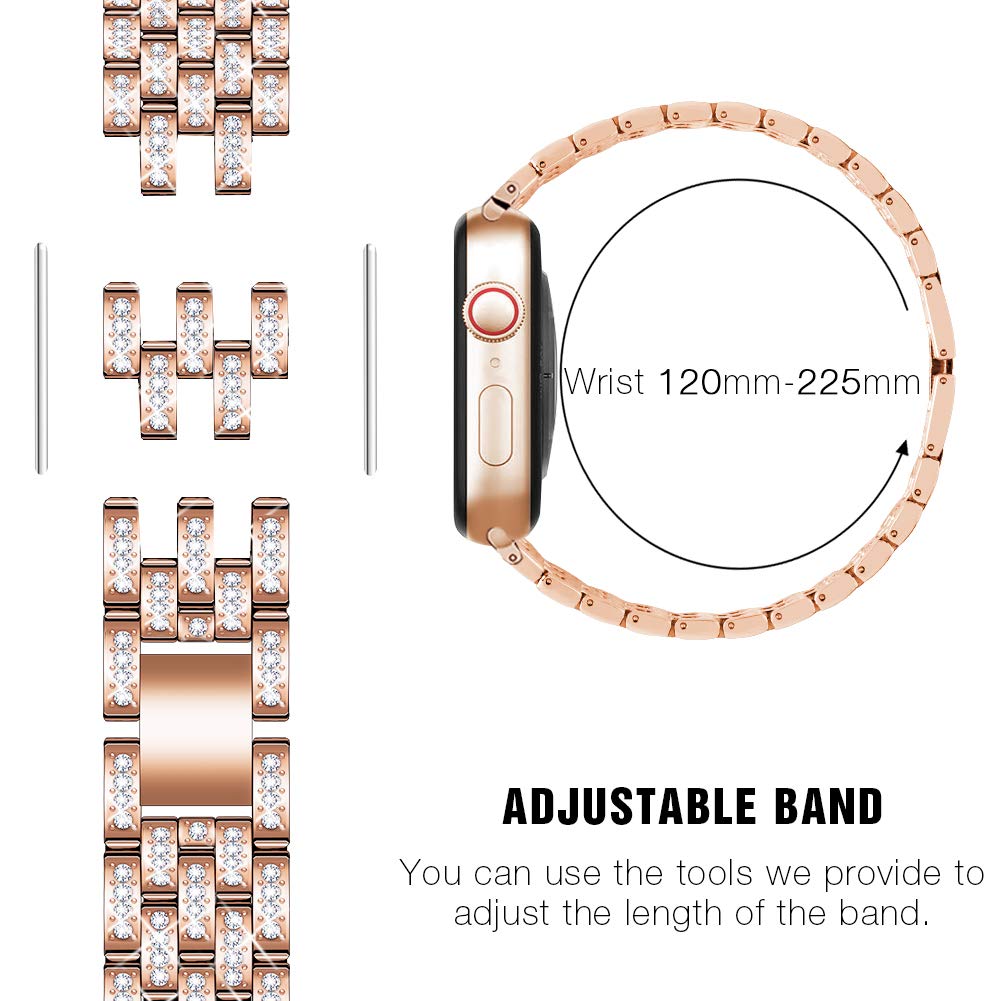 Deliciae Luxury Band + Case - Astra Straps